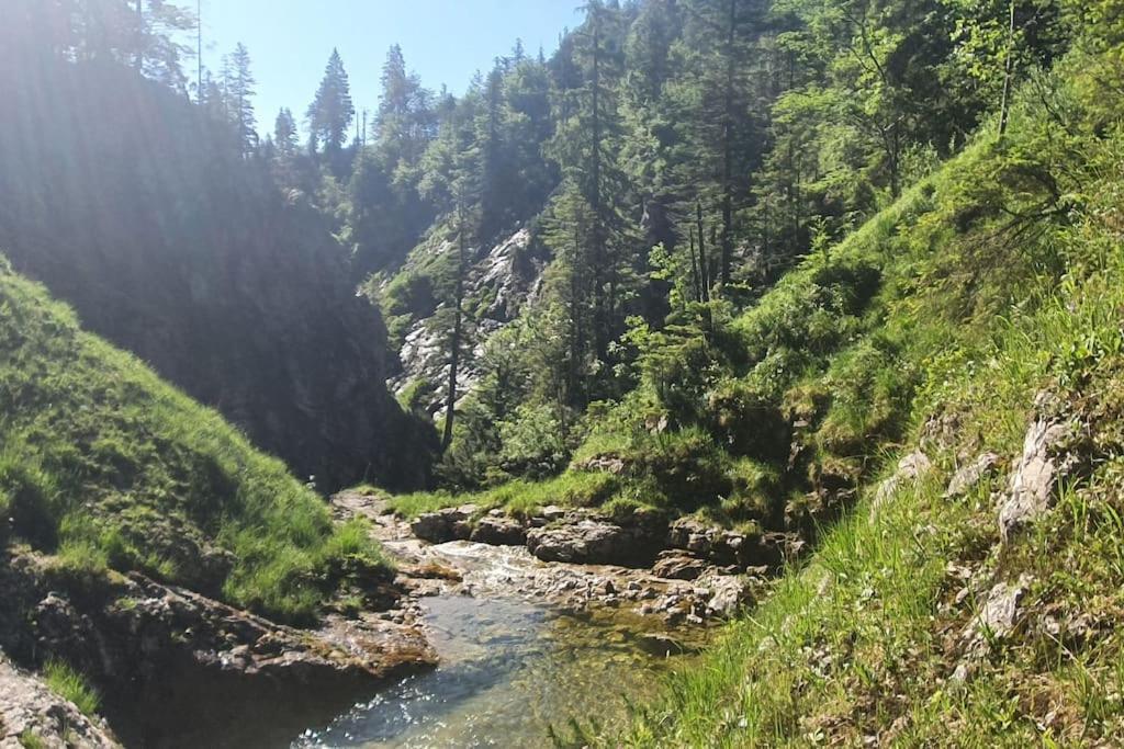 Romantisches Alpenchalet - Mit Sauna Und Kamin - Ruhig Und Zentral Apartamento