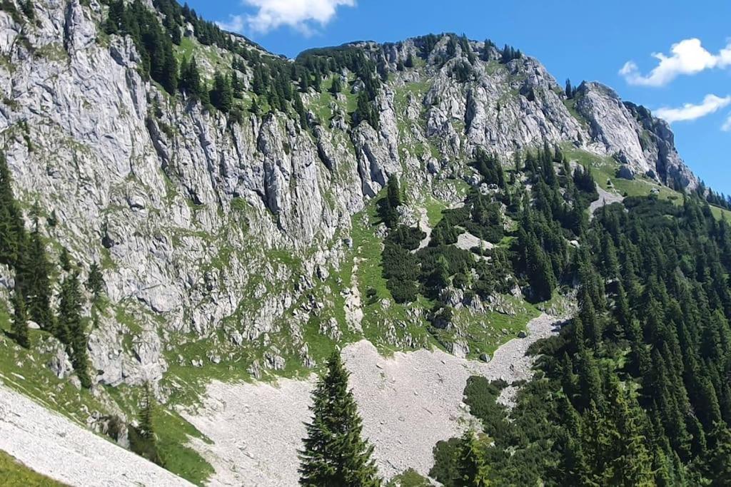 Apartment Romantisches Alpenchalet - Mit Sauna Und Kamin - Ruhig Und Zentral